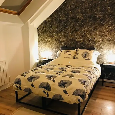 Luxury So'home Strasbourg